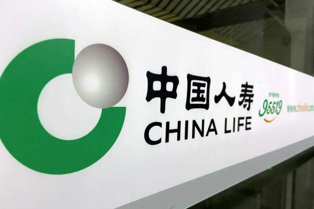 中國人壽新型固定資産管理系統